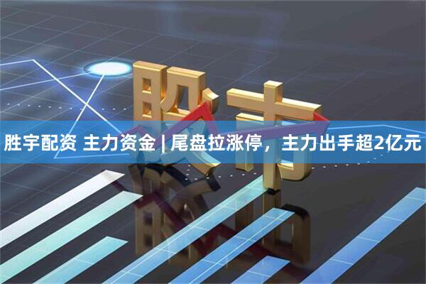 胜宇配资 主力资金 | 尾盘拉涨停，主力出手超2亿元