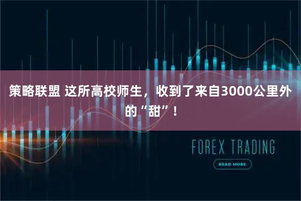 策略联盟 这所高校师生,收到了来自3000公里外的“甜”!