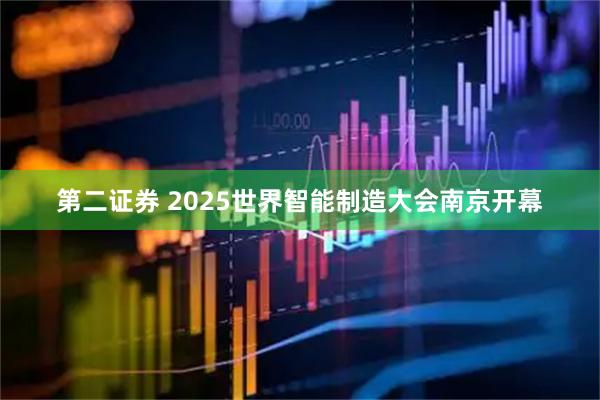 第二证券 2025世界智能制造大会南京开幕