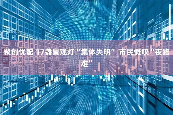 聚创优配 17盏景观灯“集体失明” 市民慨叹“夜路难”