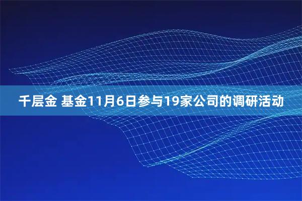 千层金 基金11月6日参与19家公司的调研活动