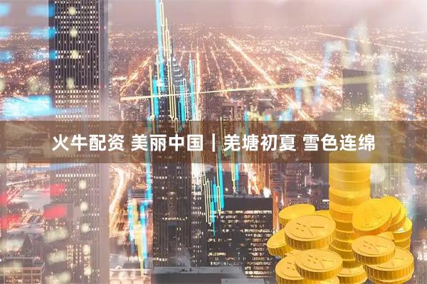 火牛配资 美丽中国｜羌塘初夏 雪色连绵